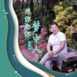 想你念你梦中人