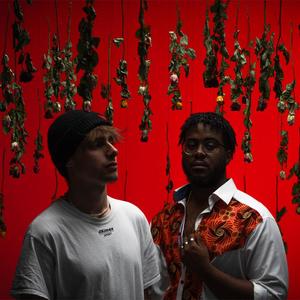 tausend rosen (Explicit)