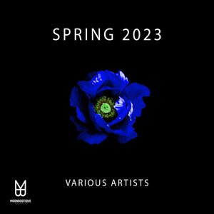 Hyped (Original Mix)