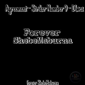 Forever ShebeMaburna (feat. Striker Number Nine & Dlwex)