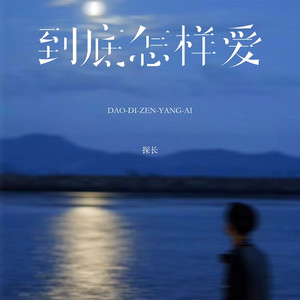 到底怎样爱 (我才学会爱可你已离开)