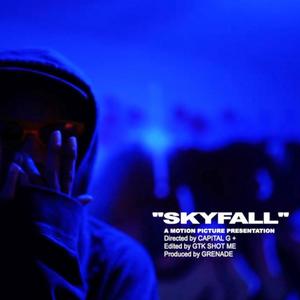 SkyFall (feat. J Kutta) [Explicit]