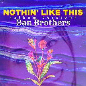 Nothin' Like This (Album Version)