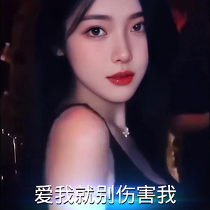 爱我就别伤害我 (罗志超 remix)