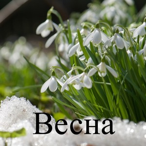 Весна