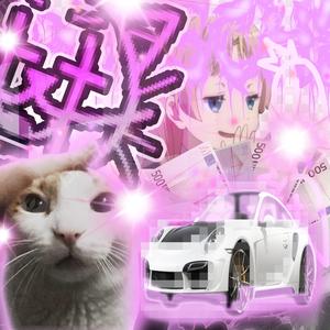 porschee ฅ^>⩊<^ ฅ