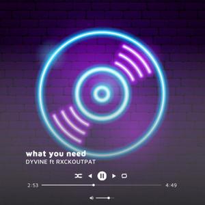 What You Need (DYVINE)