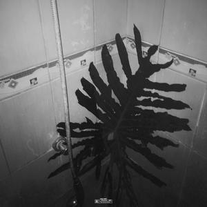 C1TYL0VEC1TYLIF3 (Interlude)