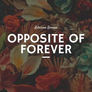 Opposite of Forever