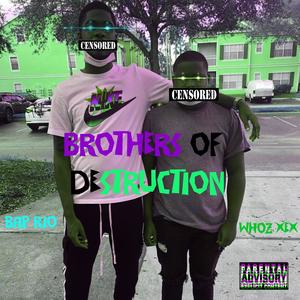 Brothers Of Destruction (feat. BAP RIO) [Explicit]