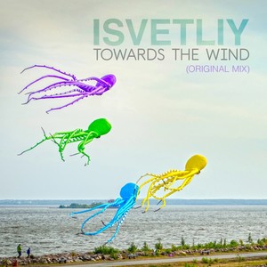 Towards the Wind (Original Mix)