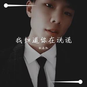 我知道你在说谎