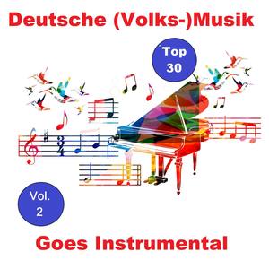 Top 30: Deutsche (Volks-)Musik Goes Instrumental, Vol. 2