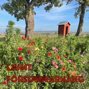 Ljumt Försommarhäng (feat. Bill Öhrström & Zoie Finer)