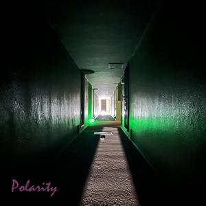 Polarity (feat. Holly Riddell)