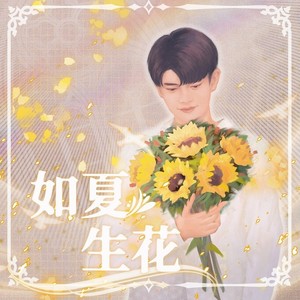 如夏生花 (重制版伴奏)