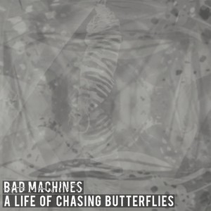 A Life of Chasing Butterflies