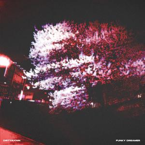 Funky Dreamer