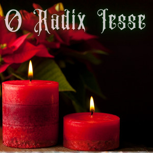 O Radix Jesse (O Radix Jesse)