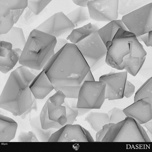 Dasein (Explicit)