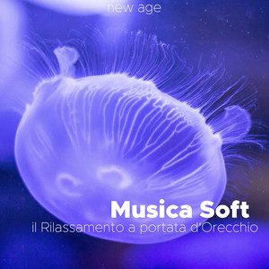 Musica di Sottofondo Rilassante