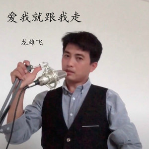 龙雄飞 - 爱我就跟我走