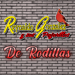 De Rodillas