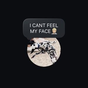 I CANT FEEL MY FACE (FREESTYLE) [Explicit]