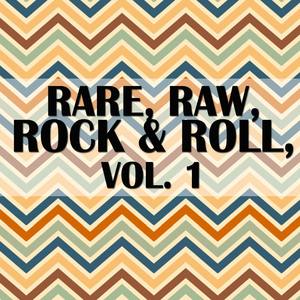 Rare, Raw, Rock & Roll, Vol. 1