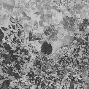 I Don't Wanna Make Anymore Sad Songs (Explicit)