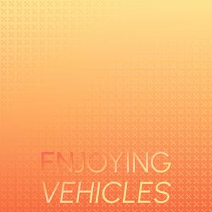 Enjoying Vehicles