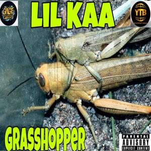 Grasshopper (Explicit)