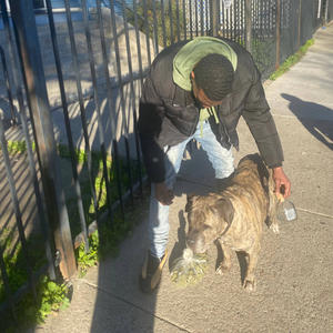 Trappin Rappin (Freestyle)