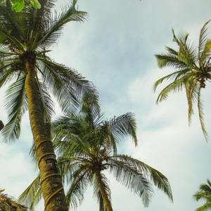 PRIDE (feat. Kotecki) (Explicit)