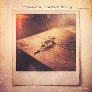 Echoes of a Polarized Memory