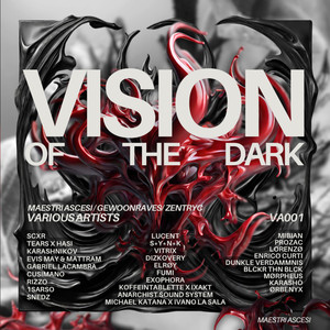 Vision Of The Dark