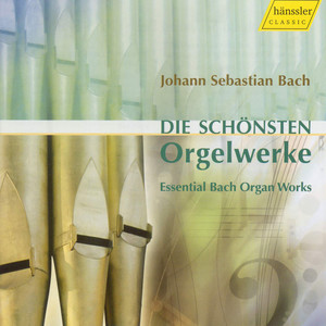 Bach, J.S.: Organ Music (Bryndorf, Johannsen, Lucker, Marcon, Zerer)