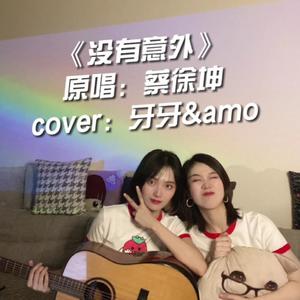 没有意外 (吉他版)