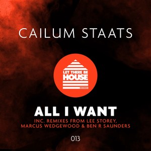 All I Want (Lee Storey Remix Extended)