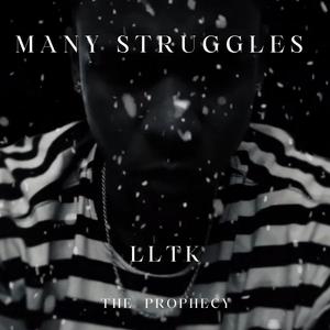 Many Struggles (Explicit)