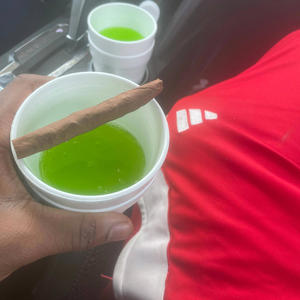 Dump $hit Down (feat. 425 Driver & 2900 Lil Jr) (Explicit)