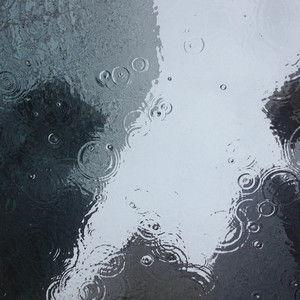 Shower Raindrops