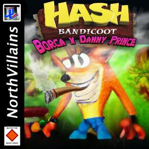 Hash Bandicoot (Explicit)