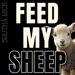 Feed My Sheep