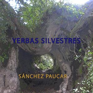 Yerbas silvestres