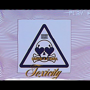 TOXICITY(feat. V. Soul) (Explicit)