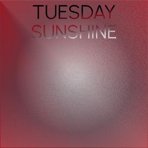 Tuesday Sunshine