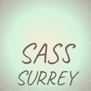 Sass Surrey