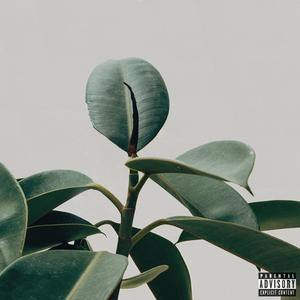 MOTO (feat. Graye) (Explicit)