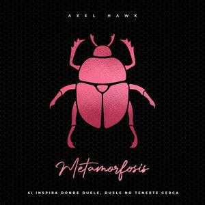 Sad song for you (feat. Miranda Díaz & Full Bear)